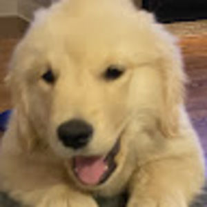 Meet your Posher, Skyler